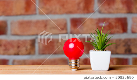 plant and bulb plant and bulb 30823690