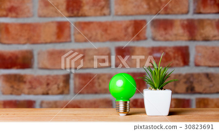 plant and bulb plant and bulb 30823691