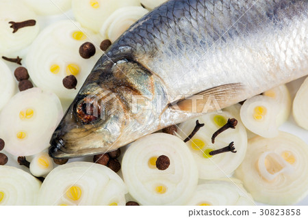 Herring with onions and spices Herring with onions and spices 30823858