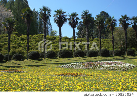Spring Botanical Gardens Scenery 30825024