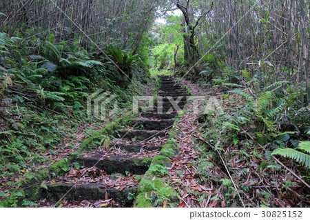 Aogashima Aogashima 30825152