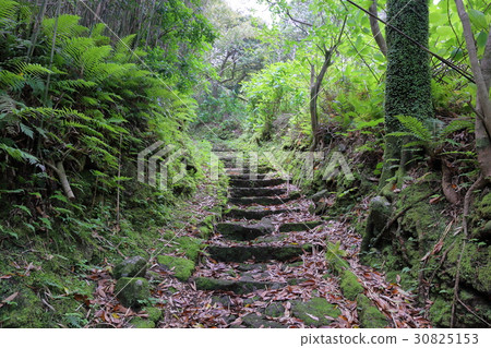 Aogashima Aogashima 30825153