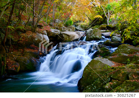 Fall mountain chicken fall (Yamagori Taki) 30825267
