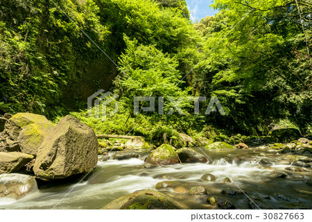 Yufugawa Valley初夏 Yufugawa Valley初夏 30827663