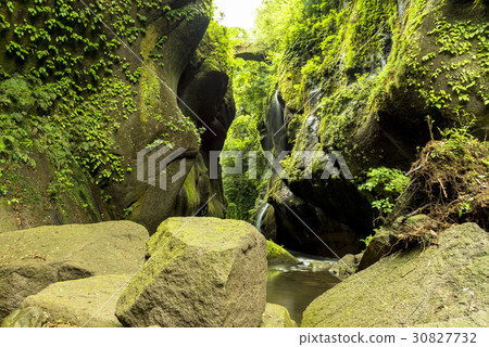 Yufugawa Valley in early summer 30827732