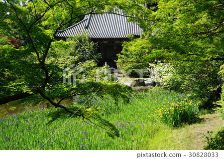 山邊路·山寺 30828033