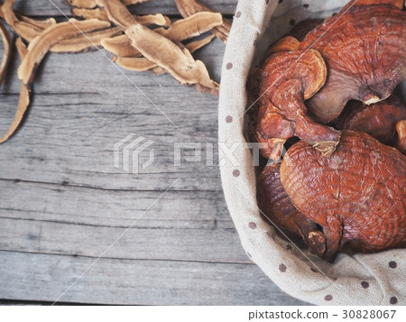 Ganoderma Lucidum - Ling Zhi Mushroom. Ganoderma Lucidum - Ling Zhi Mushroom. 30828067