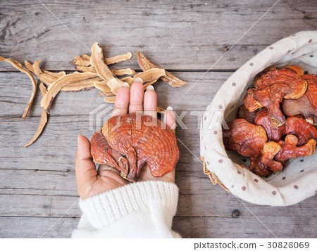 Ganoderma Lucidum - Ling Zhi Mushroom. 30828069