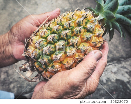 Pineapples on hands Pineapples on hands 30828070