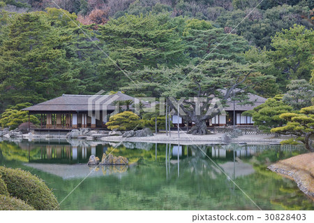 Kuribayashi公園 30828403