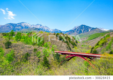 Fresh green Higashi Ohashi Bridge Fresh green Higashi Ohashi Bridge 30828415
