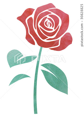 Red rose watercolor - Stock Illustration [30828825] - PIXTA