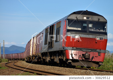 DF200-11型貨櫃貨運列車在室蘭本線運行 30829512