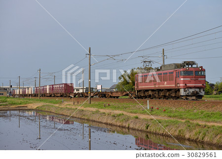 EF81723集裝箱貨運列車 30829561