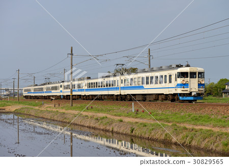 Series 475 Hokuriku color 6 Series 475 Hokuriku color 6 30829565