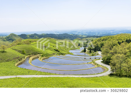 在Sanbayama村莊的樊水稻梯田 30829802