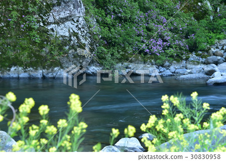 Clearstream Katsuura River Clearstream Katsuura River 30830958