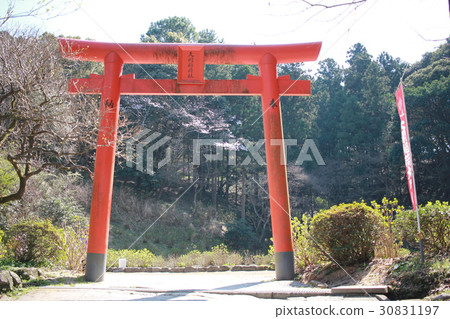 Torii 30831197