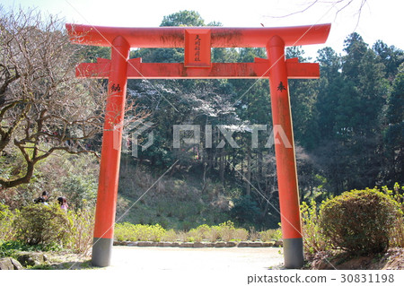 Torii 30831198