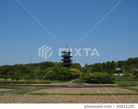 Brewery of fresh green Kokubunji 5-storied pagoda (horizontal position) Brewery of fresh green Kokubunji 5-storied pagoda (horizontal position) 30831285