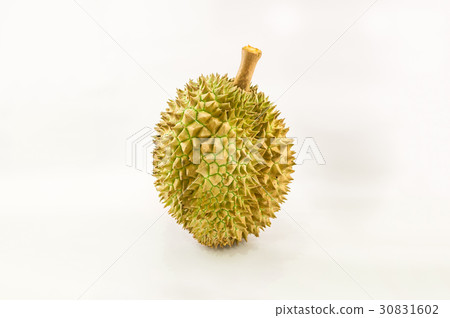 close-up view of durian isolated white background 30831602