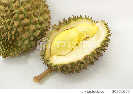Durian on a white plate with green spike rind 30831603