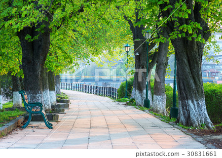 The longest in Europe linden alley 30831661