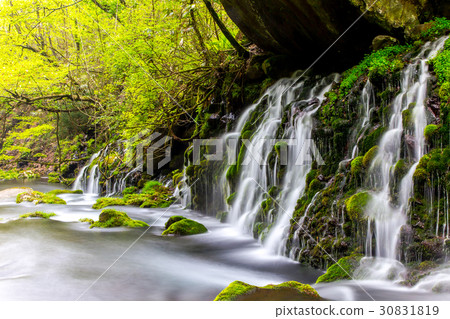 Motoyuki underwater water Motoyuki underwater water 30831819