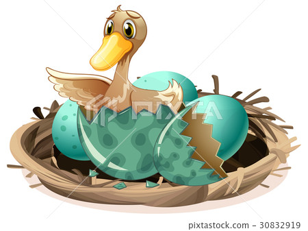 Ugly duckling hatching egg in nest Ugly duckling hatching egg in nest 30832919