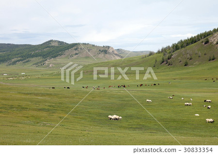 蒙古草原 蒙古草原 30833354