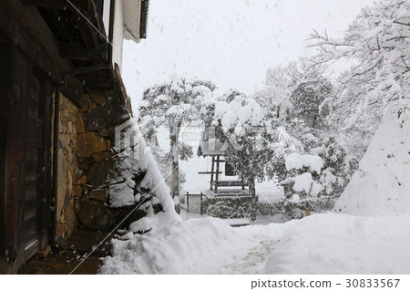 大雪彥根城的“國寶”·時代豫冬季景觀（琵琶湖國家檢疫公園） 30833567