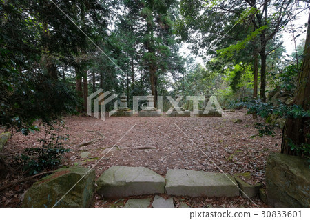 Ajo城堡Oda Nobuo第4社會企業家塔[日本100大城堡/特殊歷史遺址] 30833601