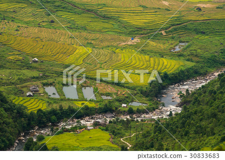 Terraced rice field in Mu Cang Chai, Vietnam Terraced rice field in Mu Cang Chai, Vietnam 30833683