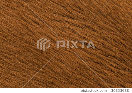 Cow skin Cow skin 30833688