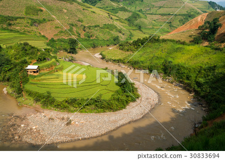Terraced rice field in Mu Cang Chai, Vietnam 30833694