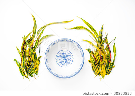 frame with Codiaeum variegatum (L.) Blume 30833833