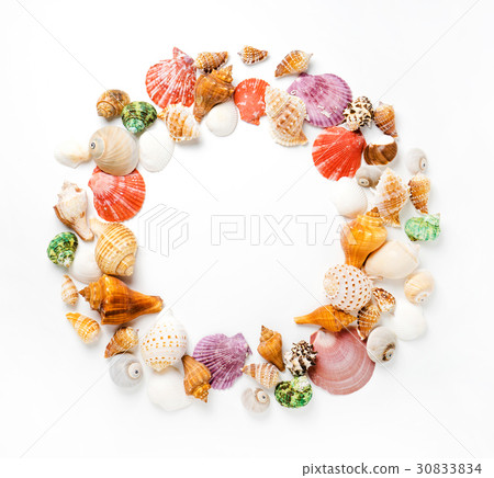 Frame with seashells on white background. 30833834