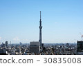 Sky tree  30835008