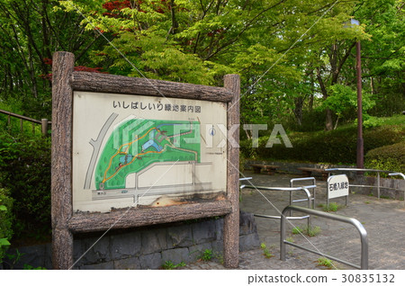 Ishihashi Ibarium Koen Park的春天是金郎盛開的公園八王子市東町 30835132