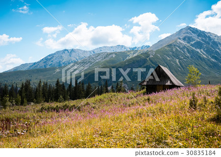 Hala Gasienicowa, Tatra mountains Zakopane Poland 30835184