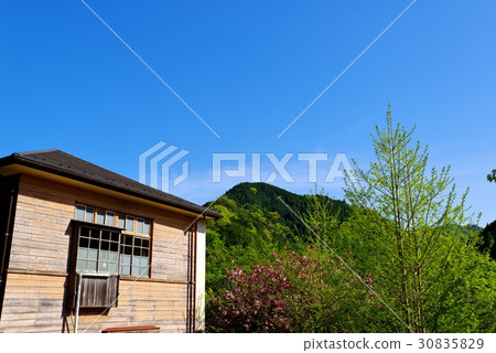 發芽的新鮮的綠色守舊派大廈和山和藍天c 發芽的新鮮的綠色守舊派大廈和山和藍天c 30835829