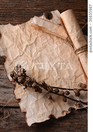 Old paper with the burned edges 30835987