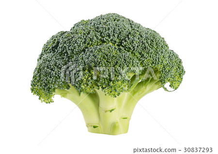 Fresh broccoli isolated on white background Fresh broccoli isolated on white background 30837293