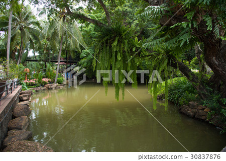 canal in garden 30837876