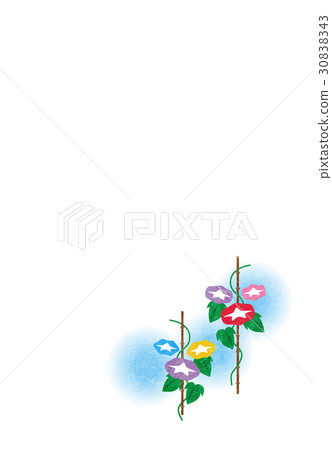 Morning glory [Japanese style series] 30838343