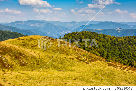 Carpathian Mountain Range in late summer 30839048