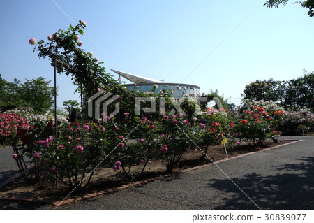 Road Station Meguma Agri Park Rose Garden 30839077