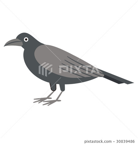 Pest vermin series - Stock Illustration [30839486] - PIXTA