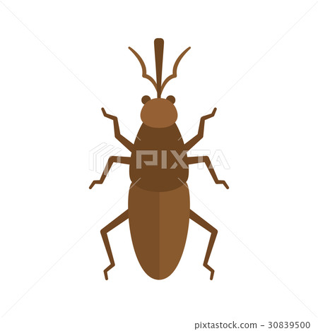 Pest vermin series Pest vermin series 30839500