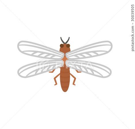 Pest vermin series - Stock Illustration [30839505] - PIXTA